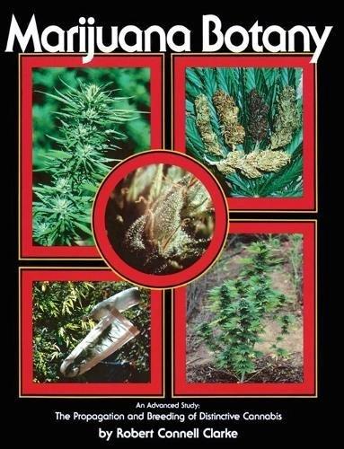 Marijuana Botany : An Advanced Study: The Propagation and Breeding of Distinctive Cannabis By:Clarke, Robert Connell Eur:30,88 Ден2:1299