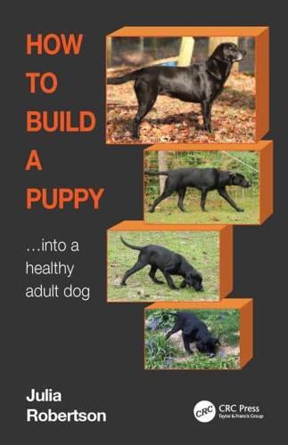 How to Build a Puppy By:Robertson, Julia Eur:42,26  Ден3:2599