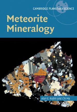 Meteorite Mineralogy By:Rubin, Alan Edward Eur:65,02  Ден3:3999