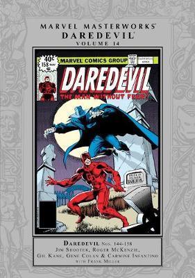 Marvel Masterworks: Daredevil Vol. 14 By:Shooter, Jim Eur:21,12 Ден2:4199