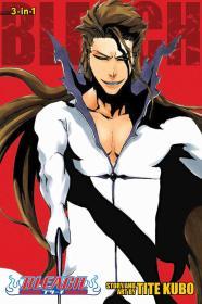 Bleach (3-in-1 Edition), Vol. 16 By:Kubo, Tite Eur:11,37 Ден2:999