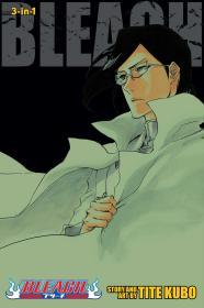 Bleach (3-in-1 Edition), Vol. 24 By:Kubo, Tite Eur:9,74 Ден2:999