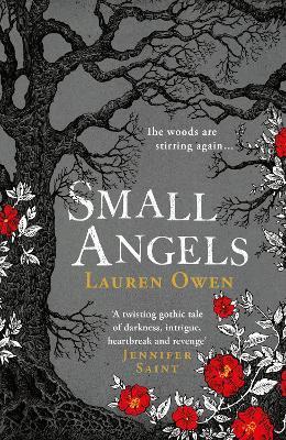 Small Angels : 'A twisting gothic tale of darkness, intrigue, heartbreak and revenge' Jennifer Saint By:Owen, Lauren Eur:35,76 Ден2:1099