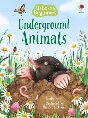 Underground Animals By:Bone, Emily Eur:9,74 Ден2:399