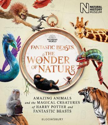 Fantastic Beasts: The Wonder of Nature : Amazing Animals and the Magical Creatures of Harry Potter and Fantastic Beasts By:Museum, Natural History Eur:8,11 Ден2:1899
