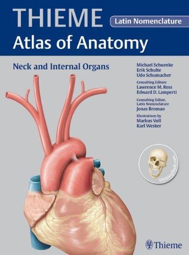Neck and Internal Organs - Latin Nomencl: v. 2 By:Schuenke, Michael Eur:52,02 Ден1:3899