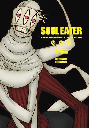 Soul Eater: The Perfect Edition 16 By:Ohkubo, Atsushi Eur:9,74 Ден2:1199