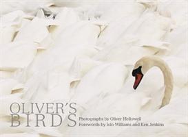 Oliver's Birds : By Oliver Hellowell By:Williams, Iolo Eur:35,76 Ден2:1299
