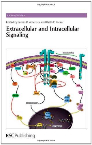 Extracellular and Intracellular Signaling By:Thurston, David E. Eur:455,27 Ден1:10199