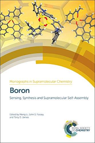 Boron : Sensing, Synthesis and Supramolecular Self-Assembly By:Gale, Philip Eur:369,09 Ден2:13999