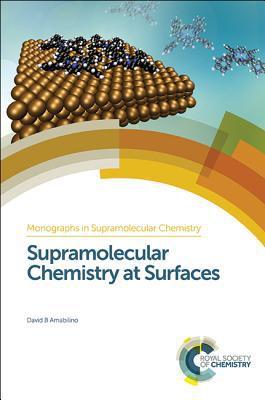 Supramolecular Chemistry at Surfaces By:Amabilino, David B. Eur:455,27 Ден2:12899