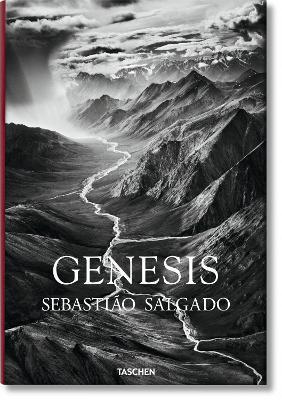 Genesis By:Salgado, Sebastiao Eur:40,63 Ден2:3799