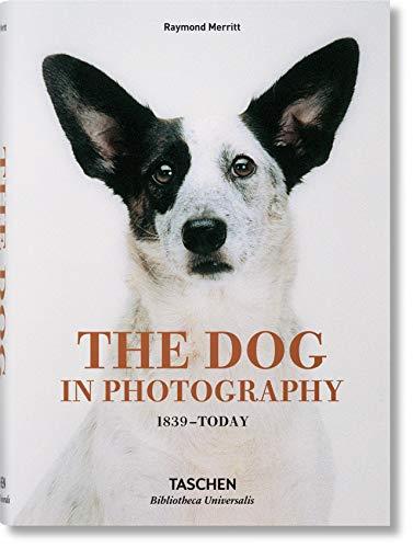 The Dog in Photography 1839-Today By:Merritt, Raymond Eur:40,63 Ден2:1199