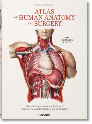 Bourgery. Atlas of Human Anatomy and Surgery By:Minor, Jean-Marie Le Eur:68,28 Ден2:3699