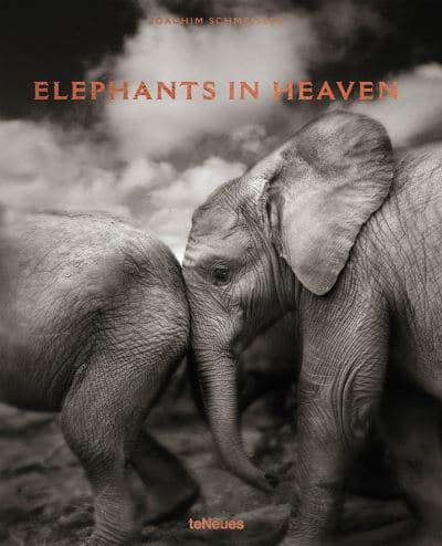 Elephants in Heaven - teNeues Verlag By:Schmeisser, Joachim Eur:69,90 Ден2:3599