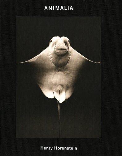 Henry Horenstein Animalia /anglais By:Horenstein, Henry Eur:69,90 Ден2:3799