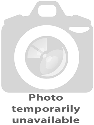 Yeti and Friends Primary 2 Vocabulary Flashcards By: Eur:9,74 Ден2:499